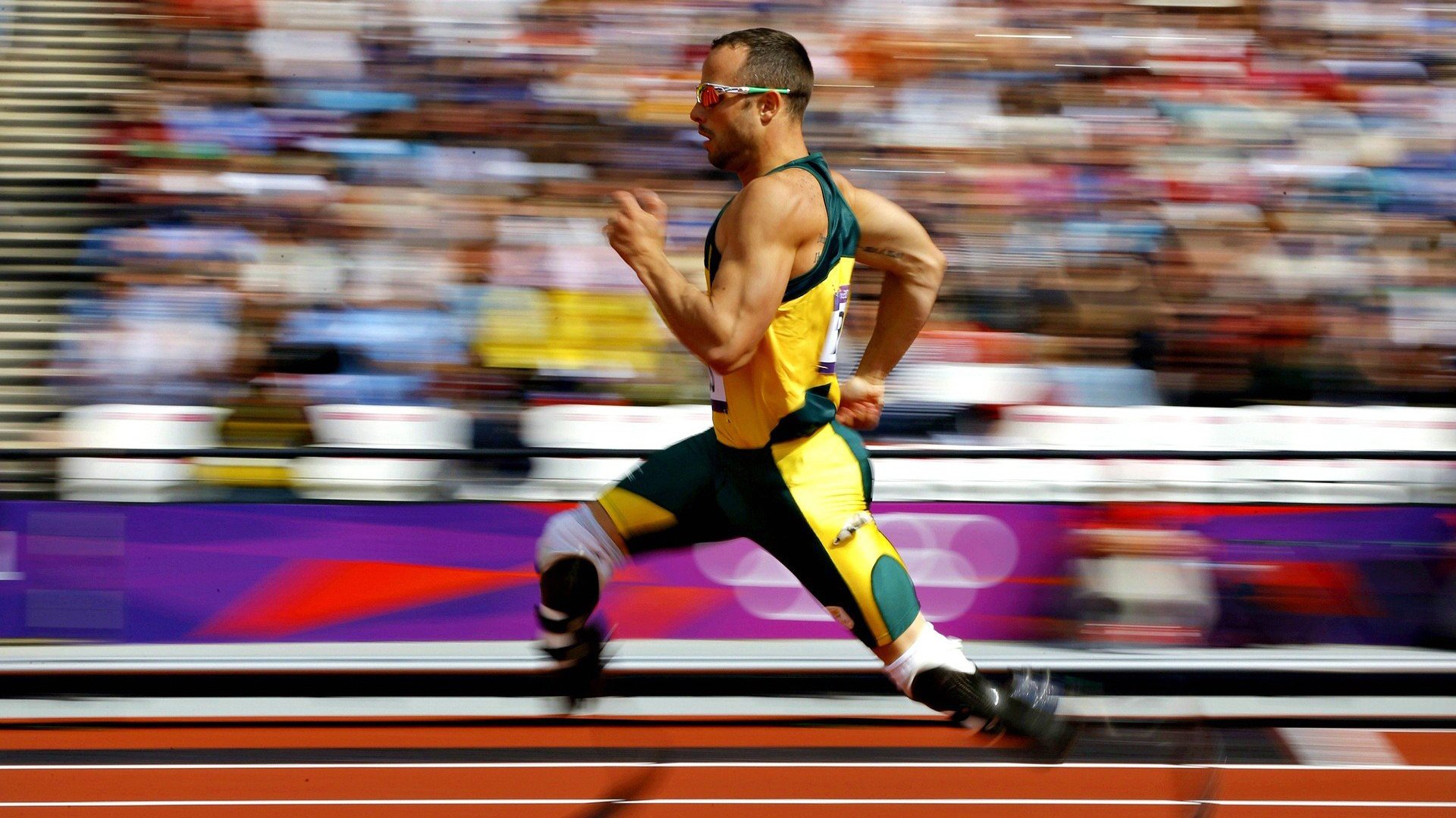 运动员健康数据管理系统上线试运行，运动员综合管理系统